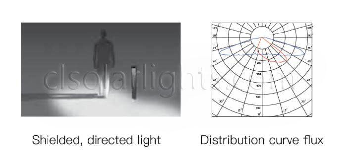 Distribution of LED Pathway Light